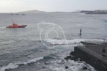 Cachalote muerto varado en la playa de Melenara (Foto TA y Naida Pérez González)